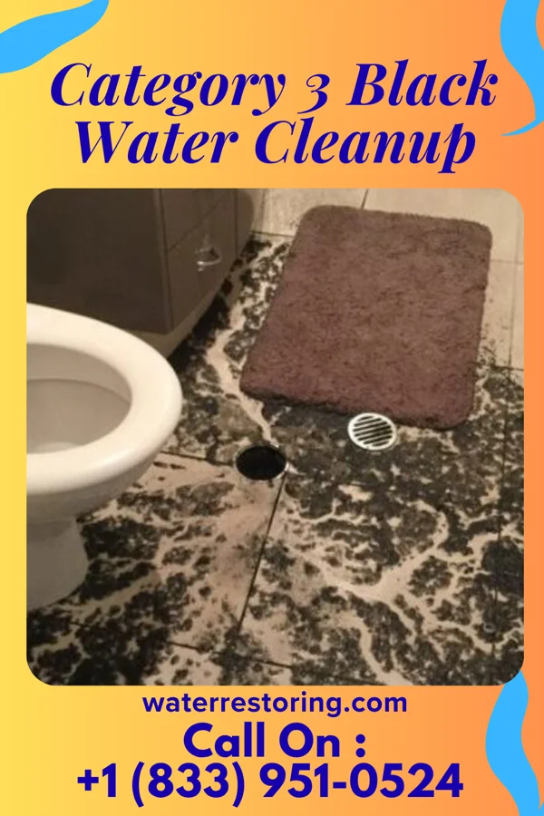 Category 3 Black Water Cleanup in Marquez, TX