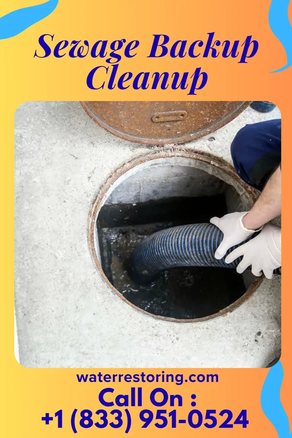 Sewage Backup Cleanup in Marquez, TX